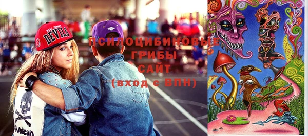 соль ск Волосово