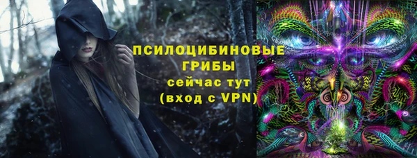 соль ск Волосово