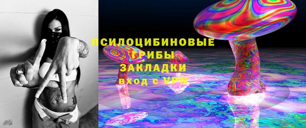 соль ск Волосово