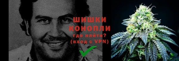 гидропоника Верея