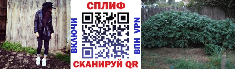 МАРИХУАНА White Widow Воркута